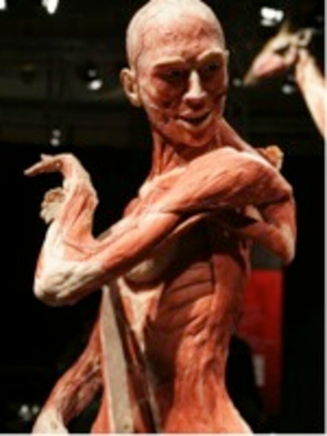 Body Worlds © DR Body Worlds © DR