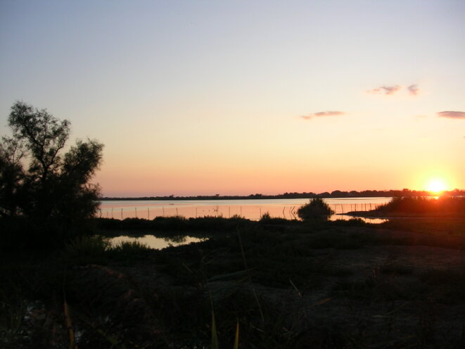 De L Ombre Et La Lumiere Comment Garder L Espoir Le Club De Mediapart