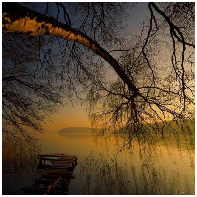 Les brèves de Saint Berdolin sur Loire