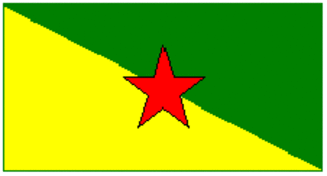 Bandera de la Guyana