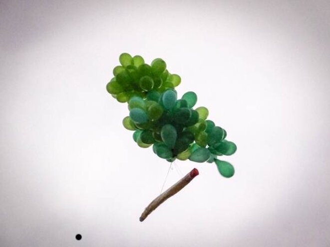 Spliff in the sky... Spliff in the sky...