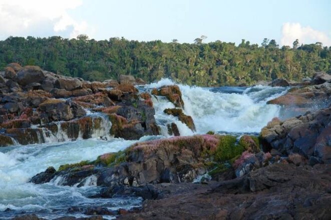 Chutes de Jericoá , Grand xingu, Pará, Amazonie, Brésil Chutes de Jericoá , Grand xingu, Pará, Amazonie, Brésil