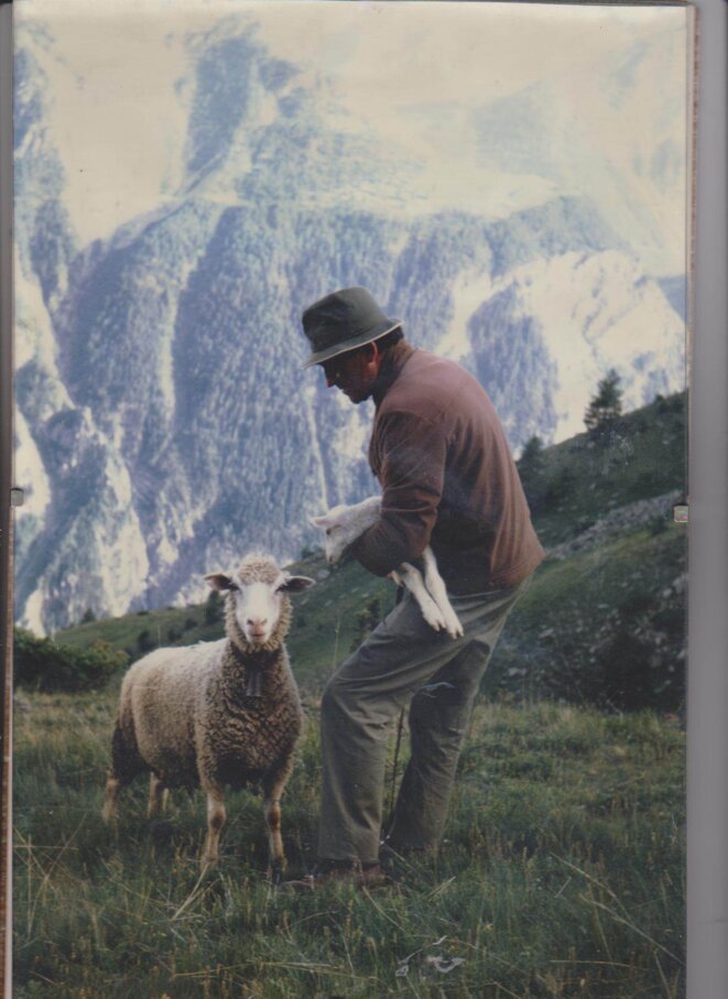 La transhumance des livres...