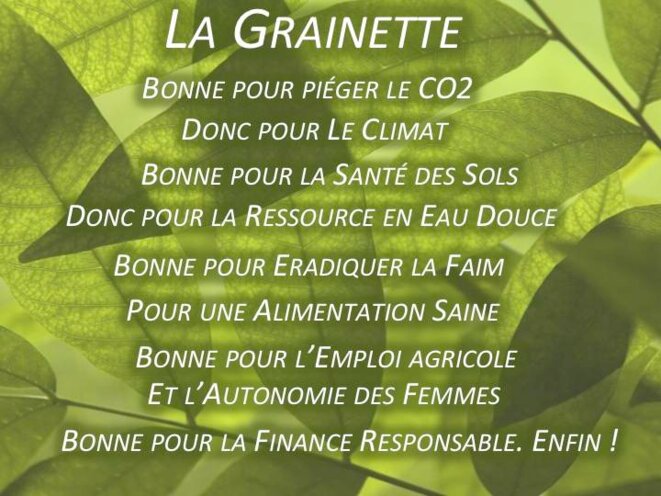 Les multiples bienfaits de la Grainette... © Hélène Nivoix Les multiples bienfaits de la Grainette... © Hélène Nivoix