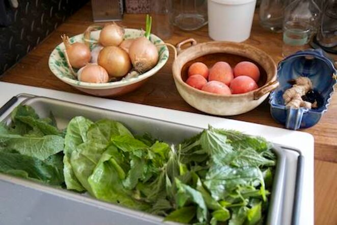 Tarte végétarienne aux plantes sauvages et tomates