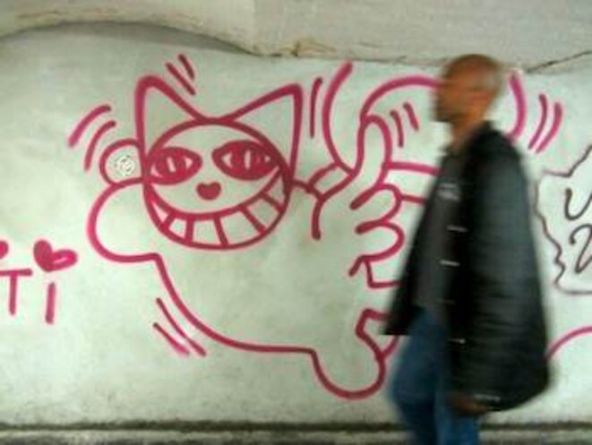 Mobilisation pour Monsieur Chat