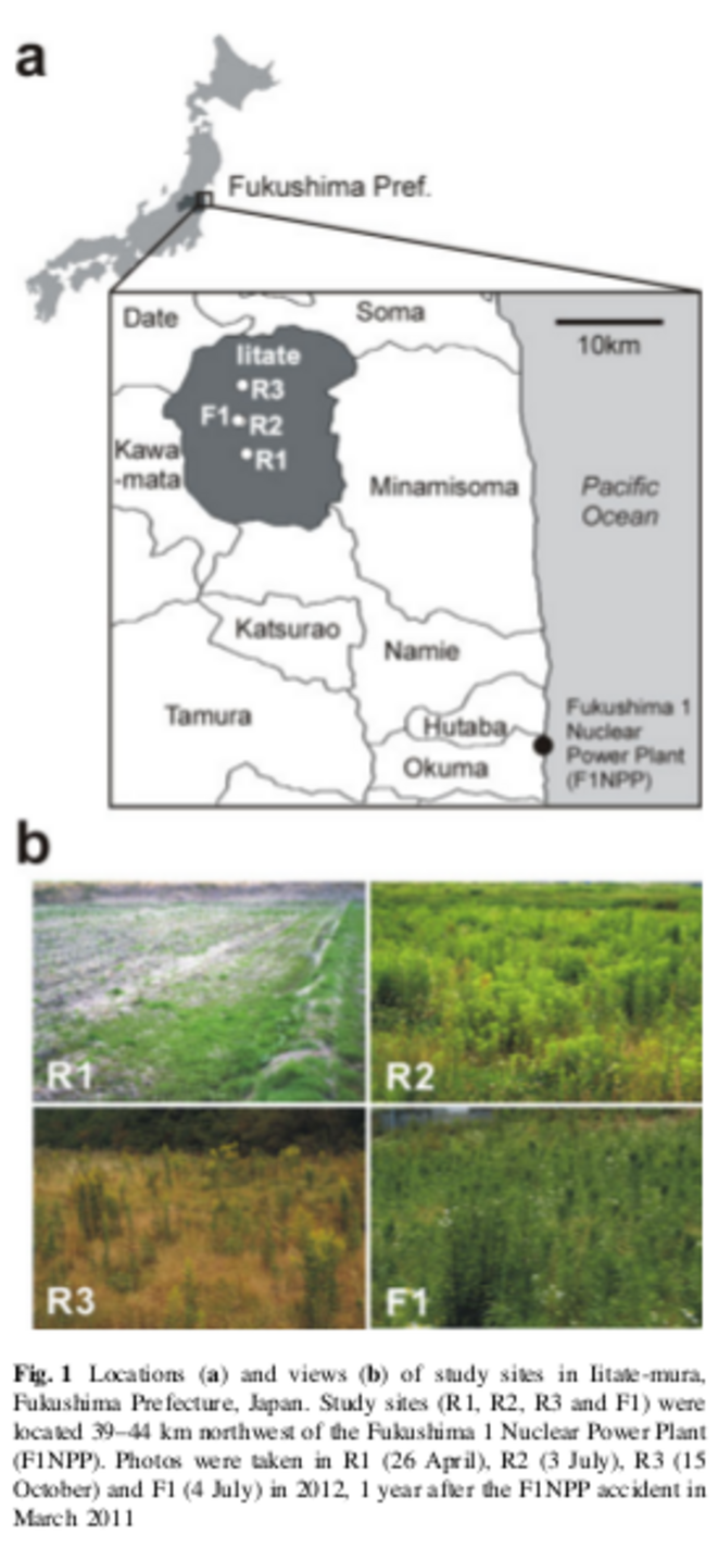 Localisation des points d'études et photographies des champs étudiés. © Institute of Plant Science and Resources, Okayama University Localisation des points d'études et photographies des champs étudiés. © Institute of Plant Science and Resources, Okayama University