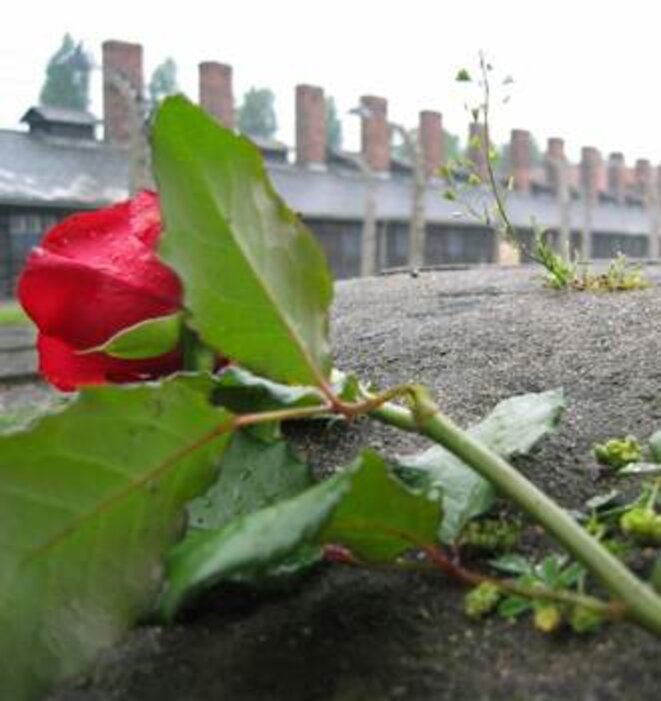 Auschwitz - hope after terror. © (c) C. Puisney / Wiki C. Auschwitz - hope after terror. © (c) C. Puisney / Wiki C.