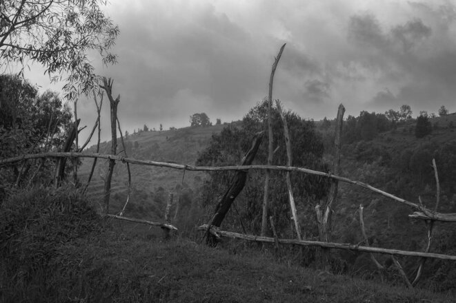The hill at Bisesero in Rwanda today. © Thomas Cantaloube The hill at Bisesero in Rwanda today. © Thomas Cantaloube