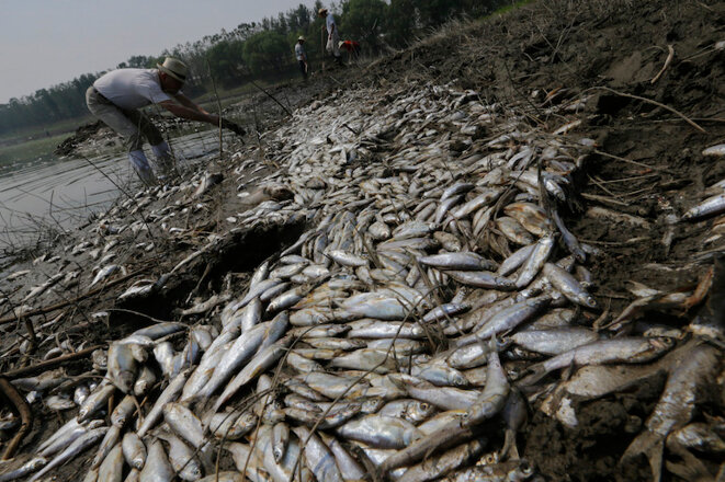 Résultat de recherche d'images pour "pollution de l'eau en chine"