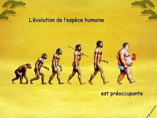 L'évolution de l'homme