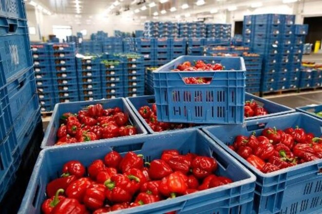 Les maraîchers souffrent déjà des sanctions russes Les maraîchers souffrent déjà des sanctions russes