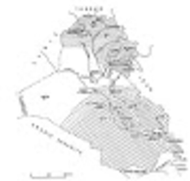 Où va l’Irak ?, Patrick Ribau