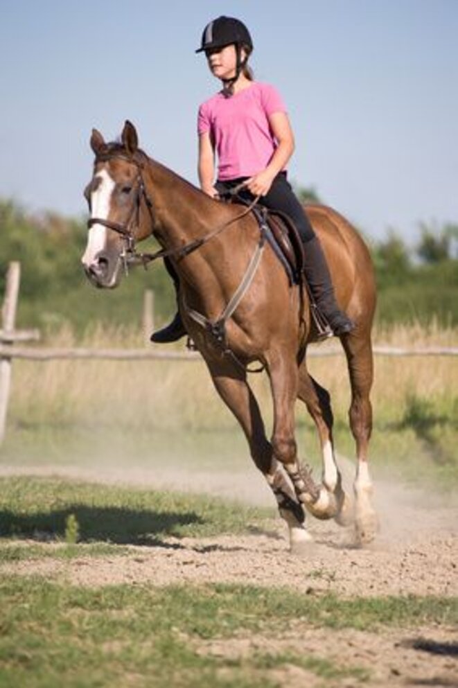 Equitation Equitation