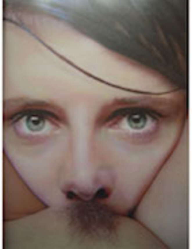 Fig. 2 : photomontage satirique, p. 19 © Nabe Fig. 2 : photomontage satirique, p. 19 © Nabe