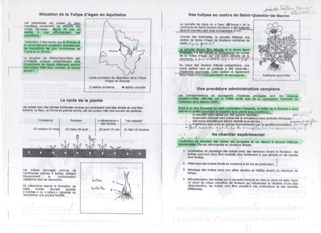 La Tulipe d'Agen (Tulipa Agenensis): une espèce menacée de disparition © Hervé CASTAGNE et Frédéric BLANCHARD La Tulipe d'Agen (Tulipa Agenensis): une espèce menacée de disparition © Hervé CASTAGNE et Frédéric BLANCHARD