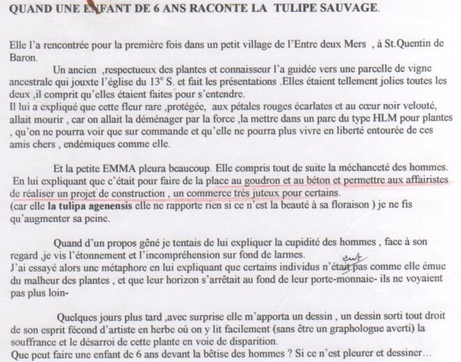 Quand une enfant de 6 ans raconte la tulipe sauvage (texte), juillet 2005 © ASSFALTE Quand une enfant de 6 ans raconte la tulipe sauvage (texte), juillet 2005 © ASSFALTE