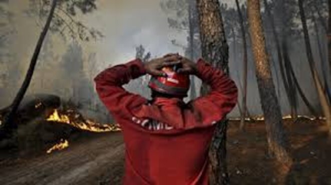 Quelques plaies en Lusitanie !