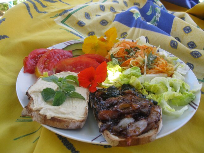 La spiruline de Stéfanie 