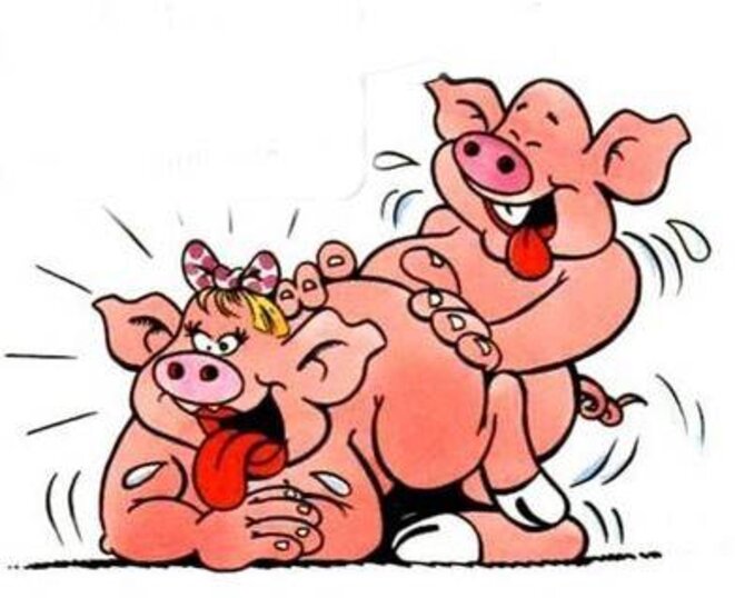 «C’est d’la merde polyphosphatée» ce jambon!