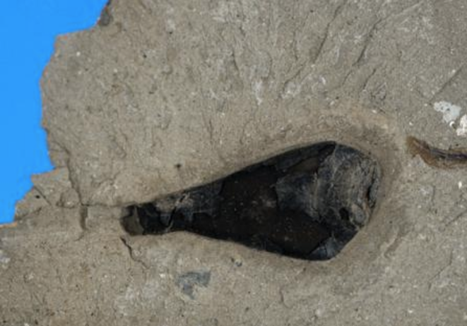 © British Geological Society © British Geological Society