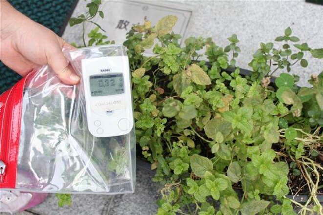 La détresse des habitants de Fukushima