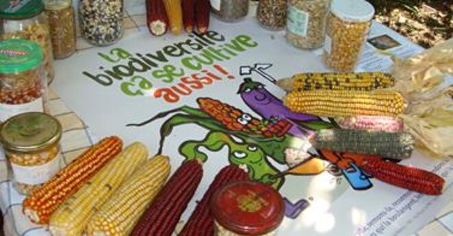 La lutte contre la contrefaçon va-t-elle nier les droits des agriculteurs ?