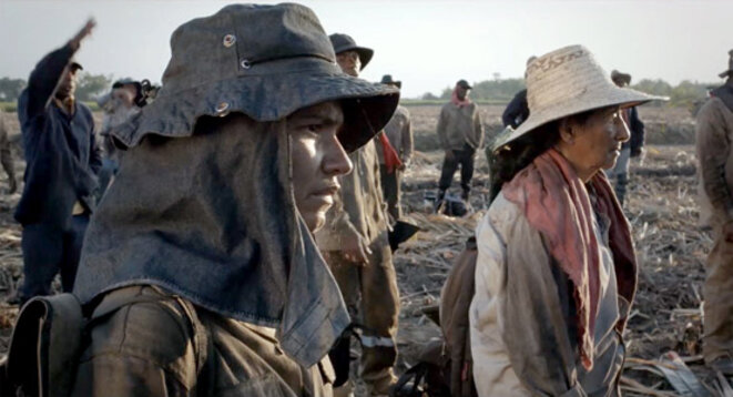 Festival de Cannes 2015 : asphyxie sociale en Colombie