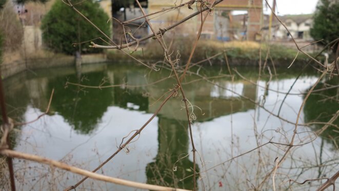 PS : La Grande Trahison.