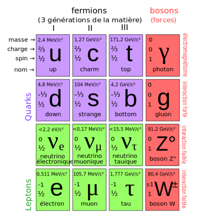 Modèle Standard © Wikipedia Modèle Standard © Wikipedia