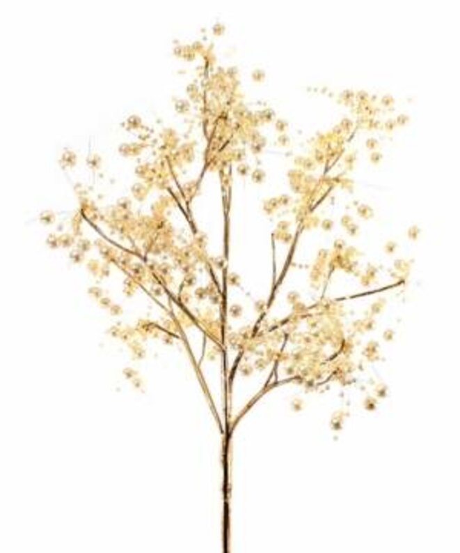 Grèce : manifestation contre l'ouverture d'une mine d'or