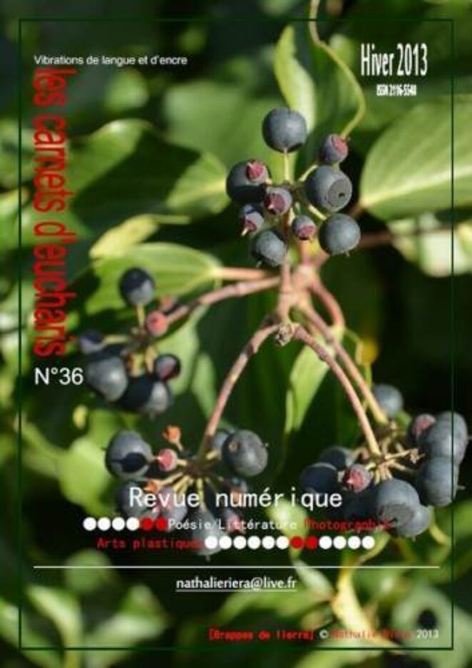 Revue numérique, n°36, hiver 2013 Revue numérique, n°36, hiver 2013