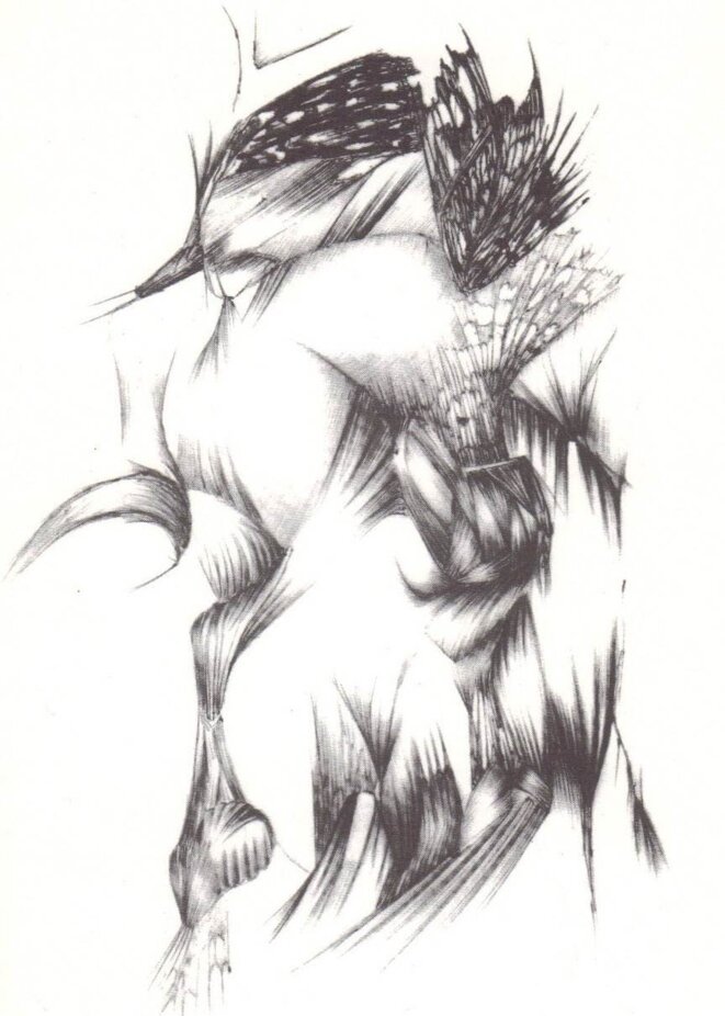 Dessin de Robert Lagarde Dessin de Robert Lagarde