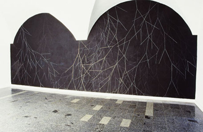 Martina Kramer, Propagation, pastel argenté sur mur noir © Galeria Miejska, Wrocław, Pologne, 2004 Martina Kramer, Propagation, pastel argenté sur mur noir © Galeria Miejska, Wrocław, Pologne, 2004