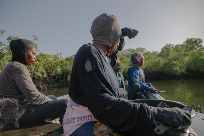 Au Sénégal, les femmes préservent la mangrove pour les nouvelles générations 