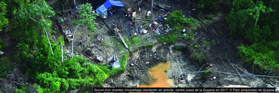 Amazonie: la France aussi est responsable