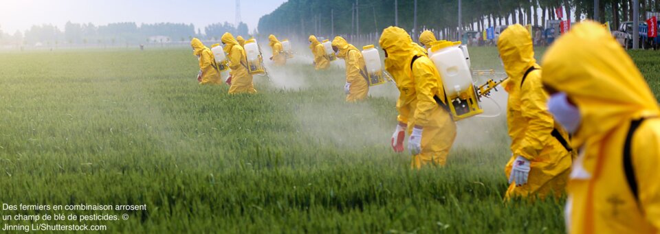 Un million d’espèces menacées par une seule
