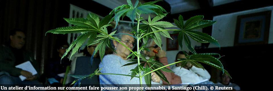 Drogues: l’amende privilégiée, la santé oubliée