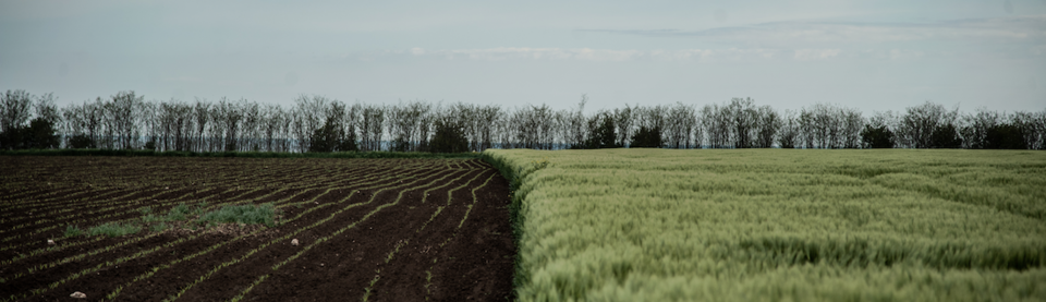 Migrants, damnés de nos terres