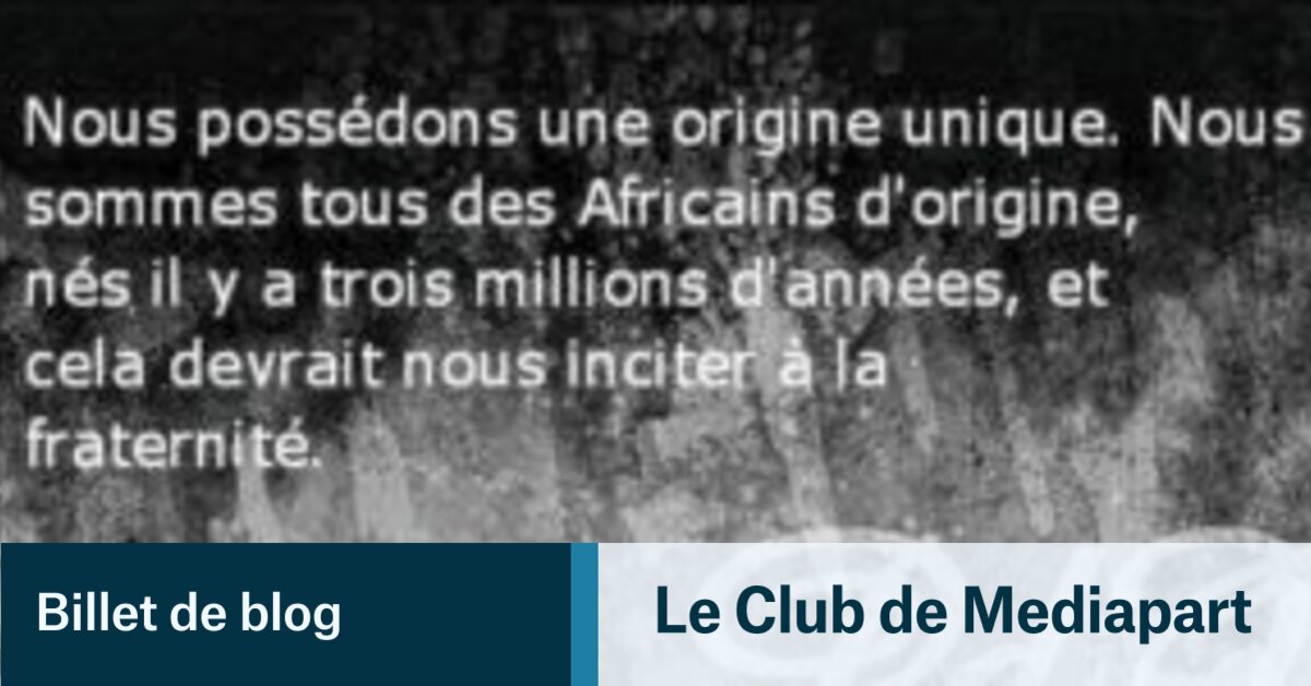 La Reine Des Racines Le Club