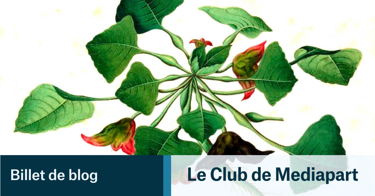 et vous deviendrez mes disciples | Le Club