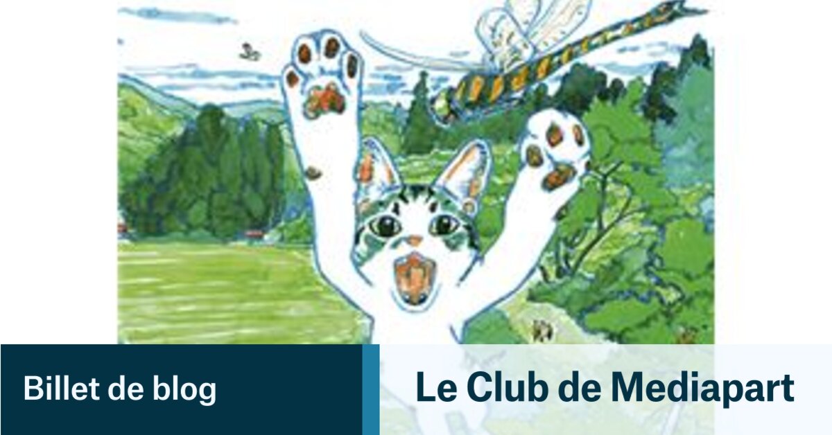 "Le Petit monde de Kabocha" d'Igarashi Daisuke | Le Club