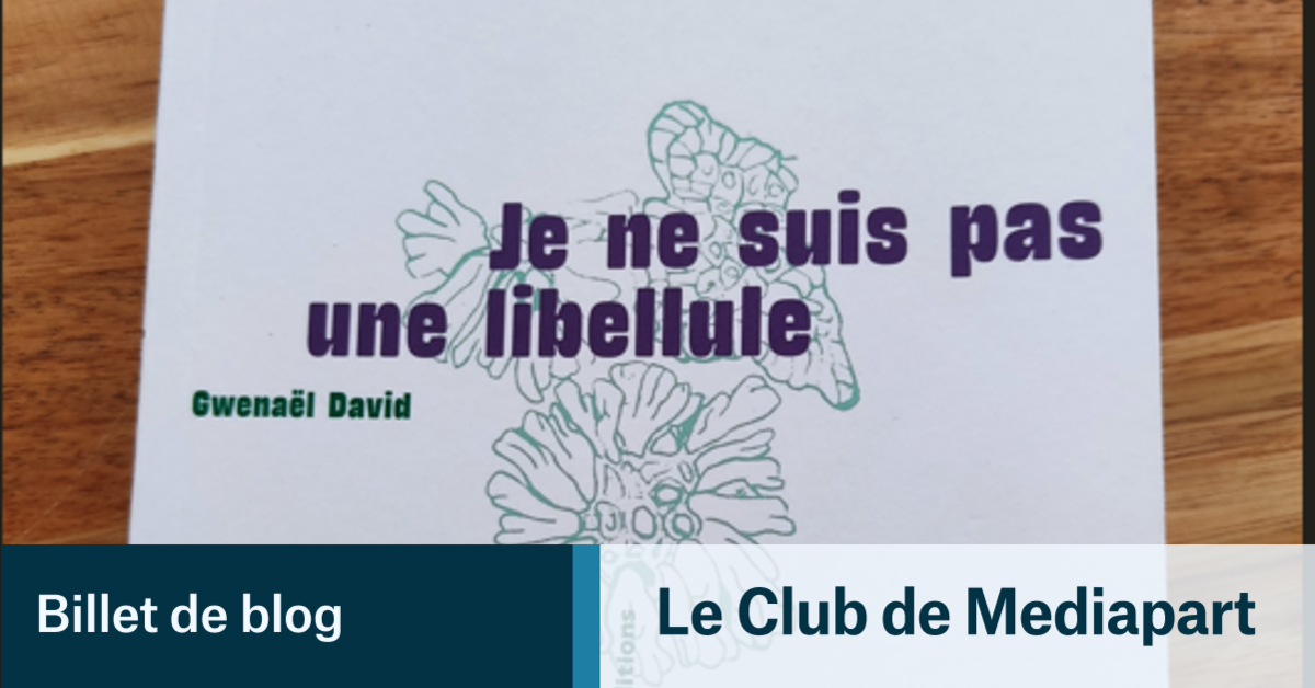 « Je ne suis pas une libellule » de Gwénael David - un livre et plus encore