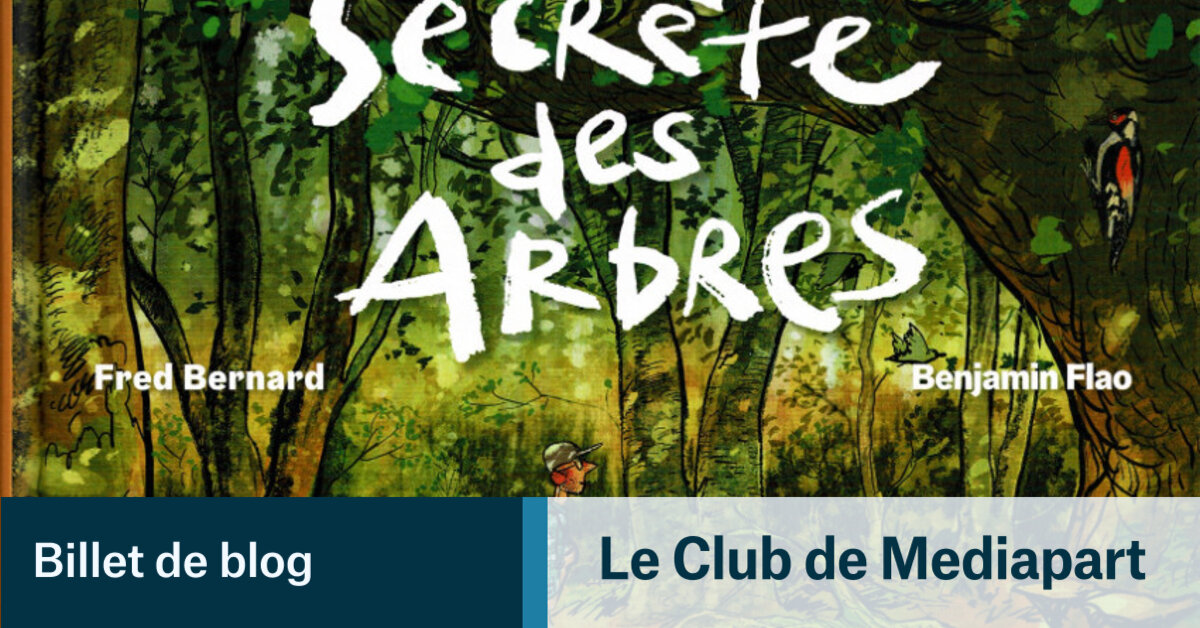 La vie secrète des arbres