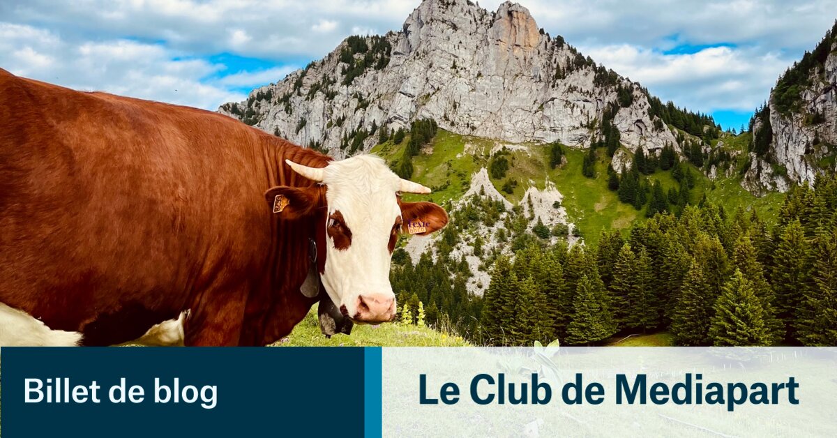 Thumbnail of Étudier la métapolitique à l’échelle locale : un angle largement négligé