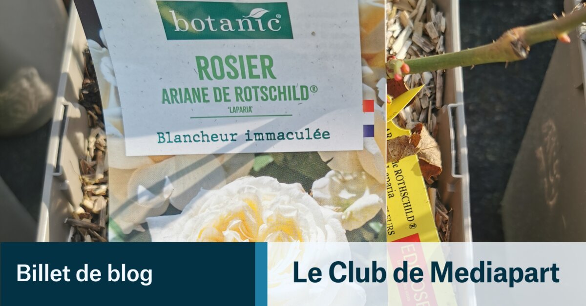 L'immaculée Ariane de Rothschild | Le Club