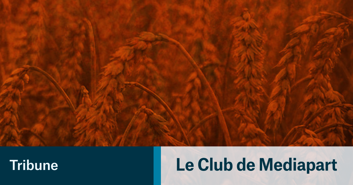 Non à la dérégulation des Micro-organismes génétiquement modifiés