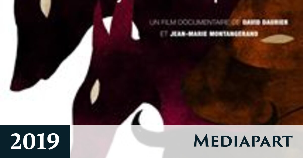 Du VIIIe siècle à un collège de Provence, la culture arabe en partage