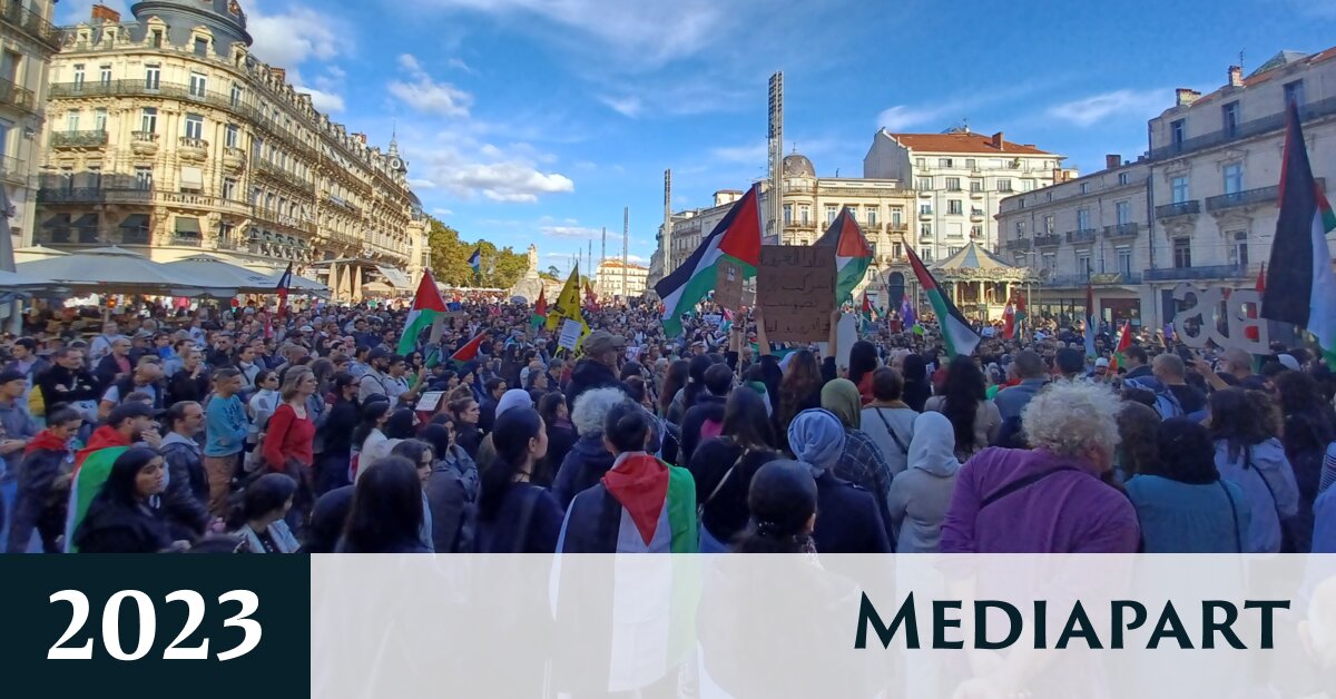 Manifestations pro-Gaza : amendes et tensions à Paris, recueillement à Montpellier