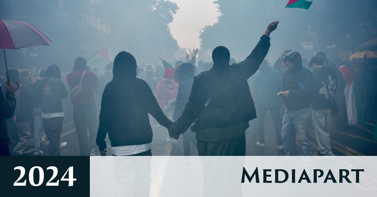 À Paris, un même cortège pour les causes palestinienne, kanak et antifasciste